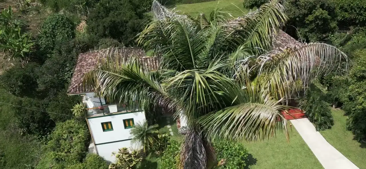Real Estate FPV Walk-through